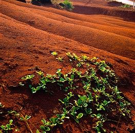 《孤岛惊魂6》PS4、PS4 Pro、PS5画质对比 帧数稳定